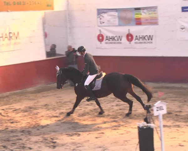 Reitturnier Neunkirchen-Furpach 2018