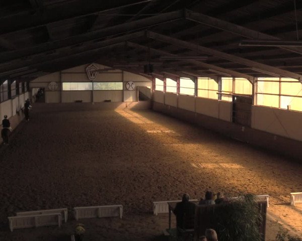 Reitturnier Lüdinghausen-Westrup 2018