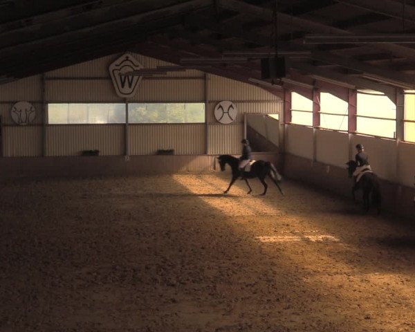 Reitturnier Lüdinghausen-Westrup 2018