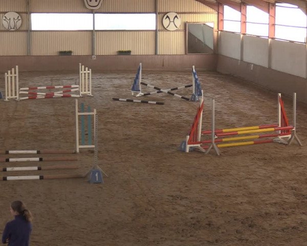 Reitturnier Lüdinghausen-Westrup 2018