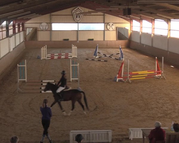 Reitturnier Lüdinghausen-Westrup 2018