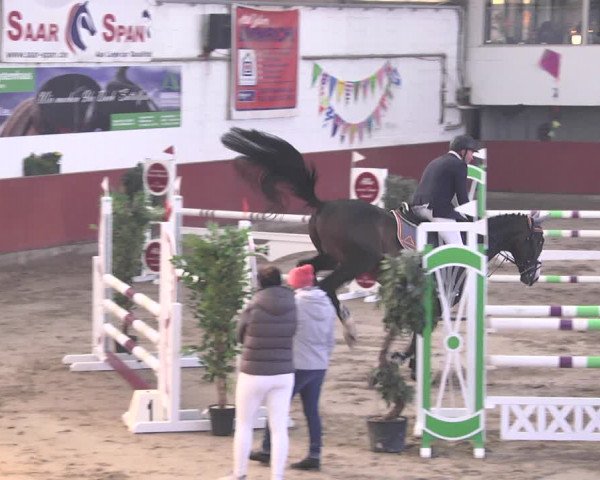 Reitturnier Neunkirchen-Furpach 2018