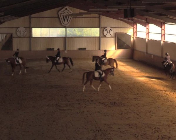 Reitturnier Lüdinghausen-Westrup 2018