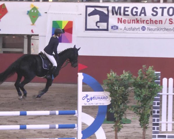 Reitturnier Neunkirchen-Furpach 2018