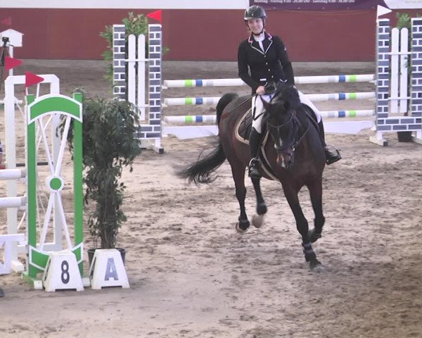 Reitturnier Neunkirchen-Furpach 2018