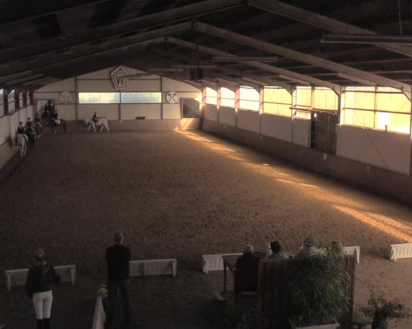 Reitturnier Lüdinghausen-Westrup 2018