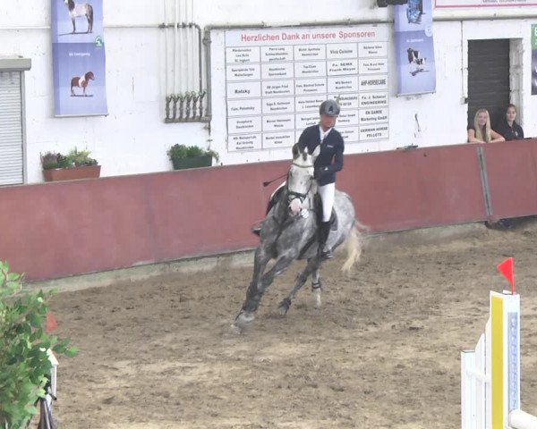 Reitturnier Neunkirchen-Furpach 2018
