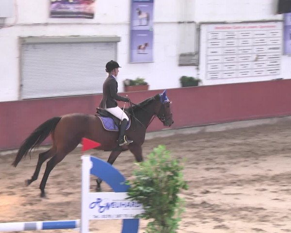 Reitturnier Neunkirchen-Furpach 2018