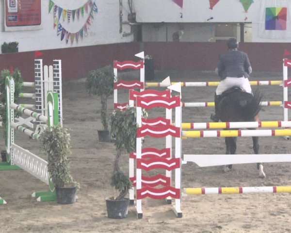 Reitturnier Neunkirchen-Furpach 2018