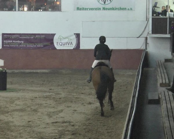 Reitturnier Neunkirchen-Furpach 2018