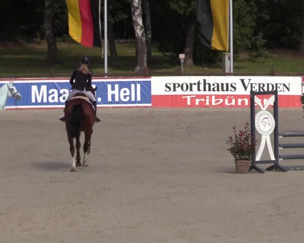 Reitturnier Westergellersen 2021