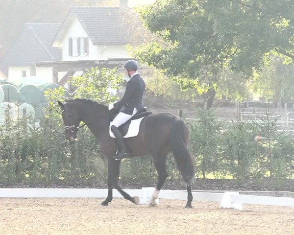 Reitturnier Deitingen 2018