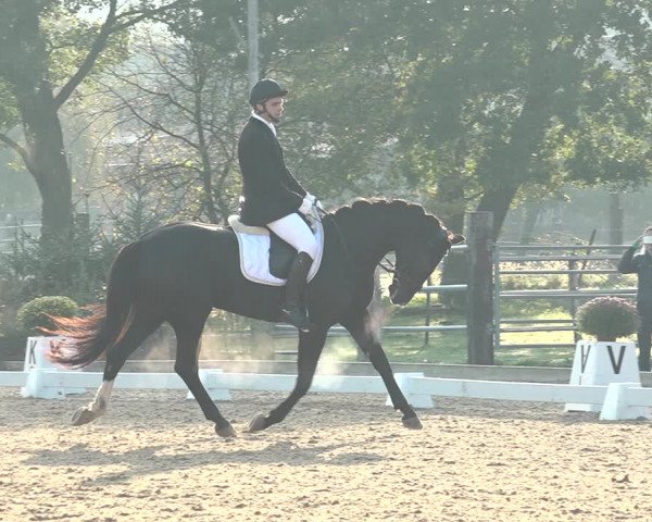 Reitturnier Deitingen 2018