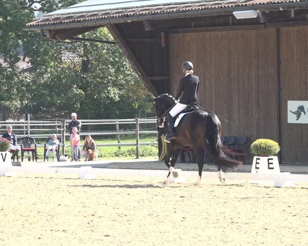 Reitturnier Deitingen 2018