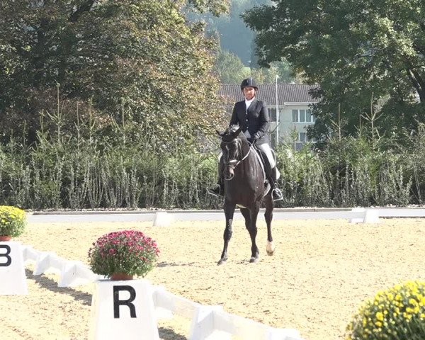 Reitturnier Deitingen 2018