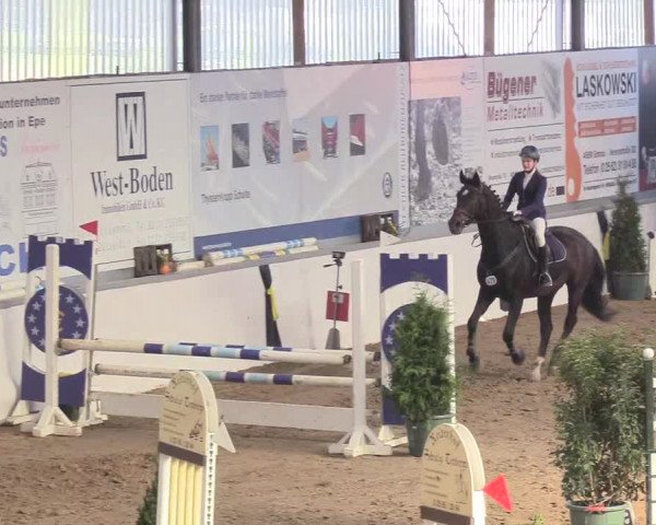 Reitturnier Gronau-Epe 2018