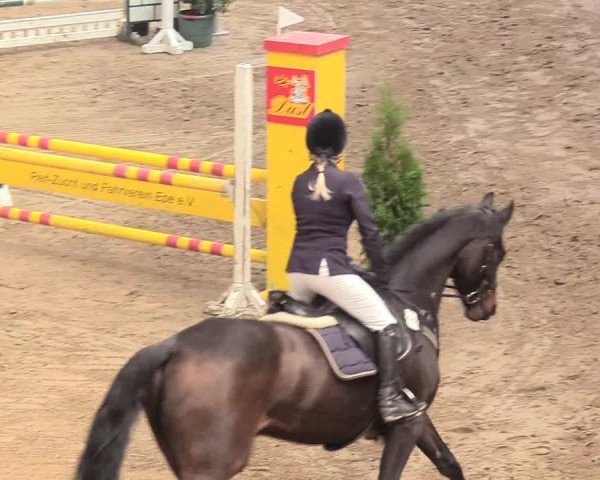 Reitturnier Gronau-Epe 2018