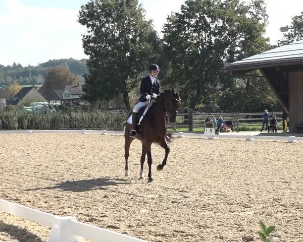 Reitturnier Deitingen 2018