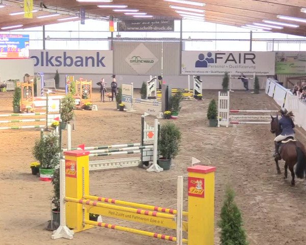 Reitturnier Gronau-Epe 2018