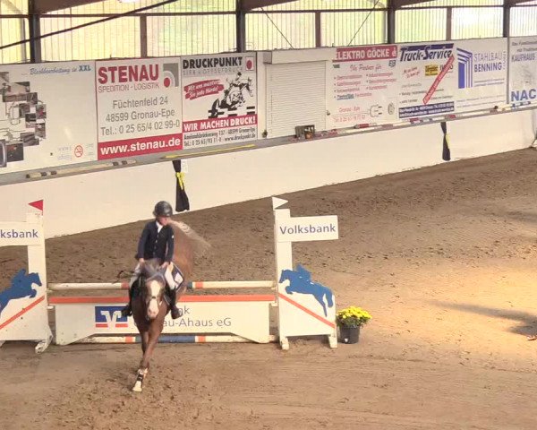 Reitturnier Gronau-Epe 2018