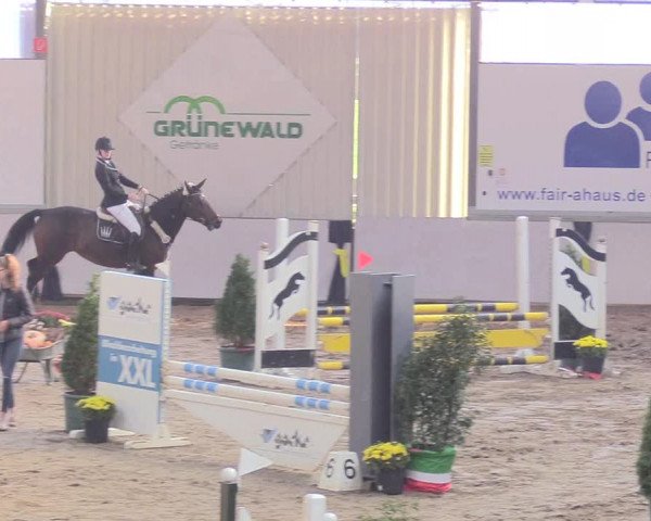 Reitturnier Gronau-Epe 2018