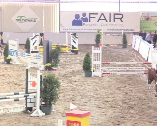 Reitturnier Gronau-Epe 2018