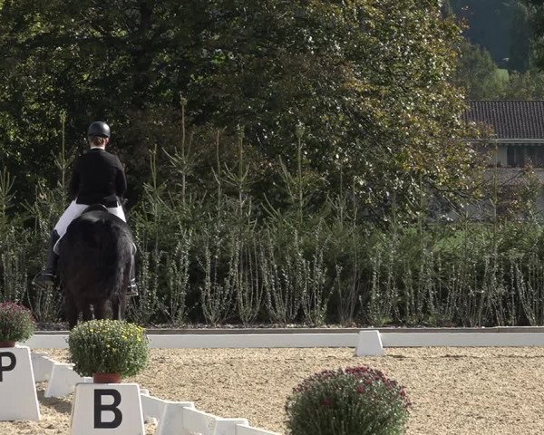 Reitturnier Deitingen 2018