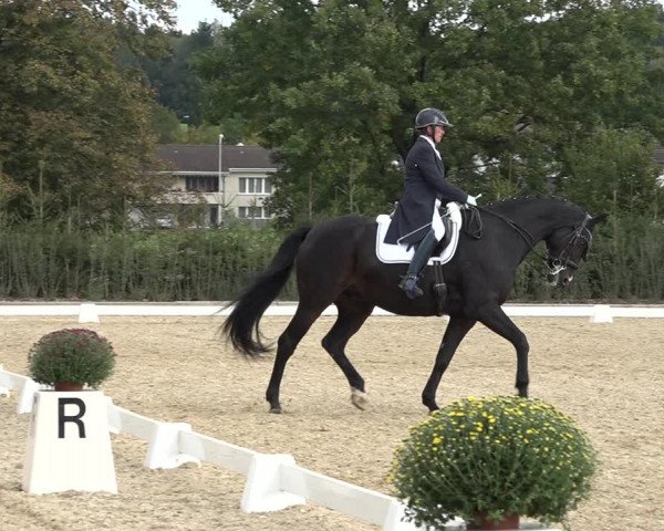 Reitturnier Deitingen 2018
