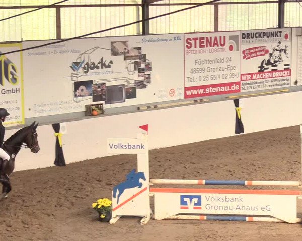 Reitturnier Gronau-Epe 2018