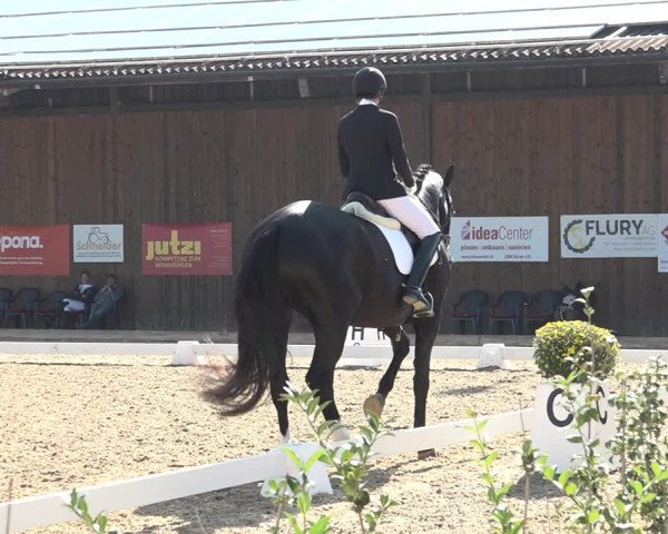 Reitturnier Deitingen 2018