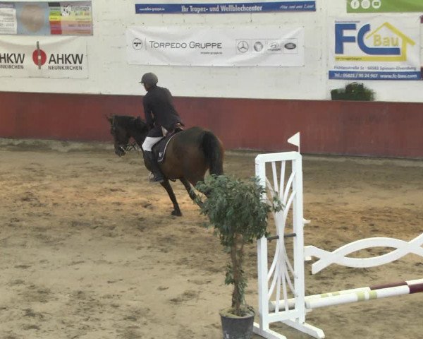 Reitturnier Neunkirchen-Furpach 2018