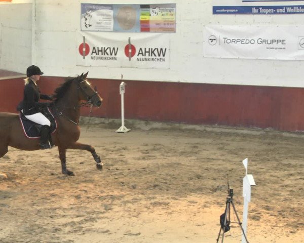 Reitturnier Neunkirchen-Furpach 2018