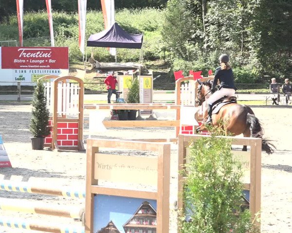 Reitturnier Sins 2018