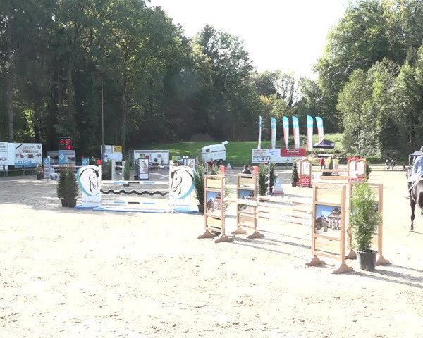 Reitturnier Sins 2018