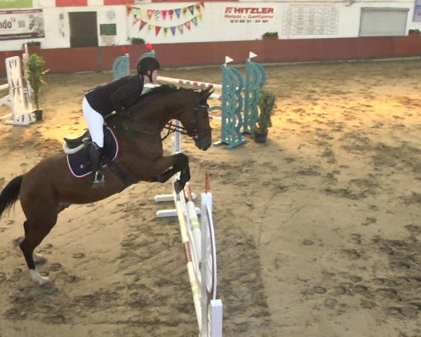 Reitturnier Neunkirchen-Furpach 2018