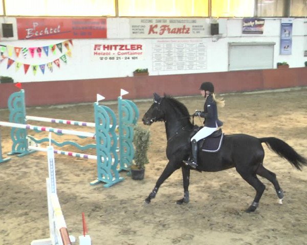 Reitturnier Neunkirchen-Furpach 2018