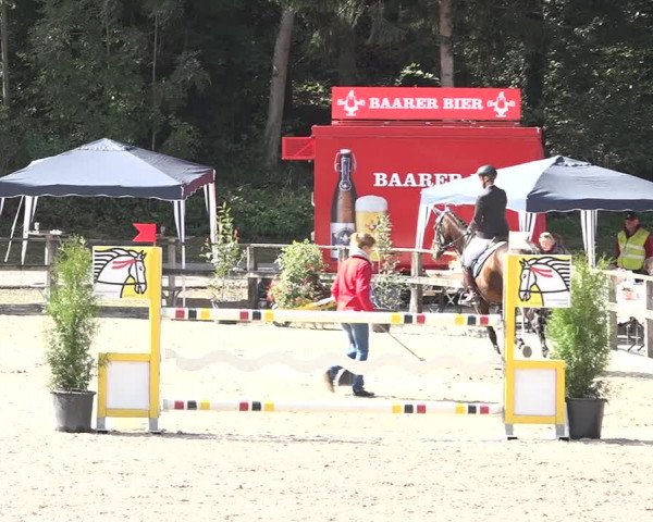 Reitturnier Sins 2018