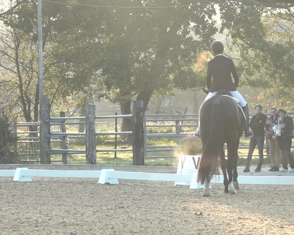 Reitturnier Deitingen 2018