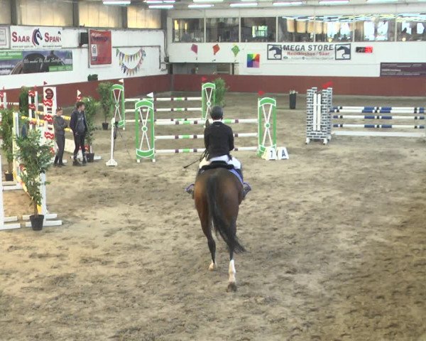 Reitturnier Neunkirchen-Furpach 2018