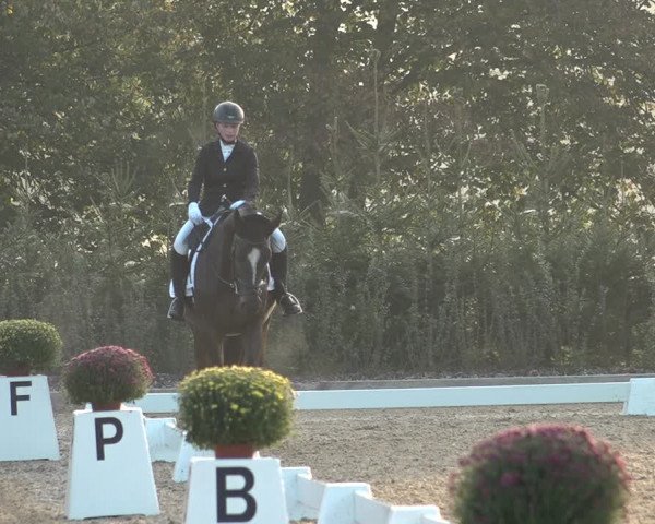 Reitturnier Deitingen 2018
