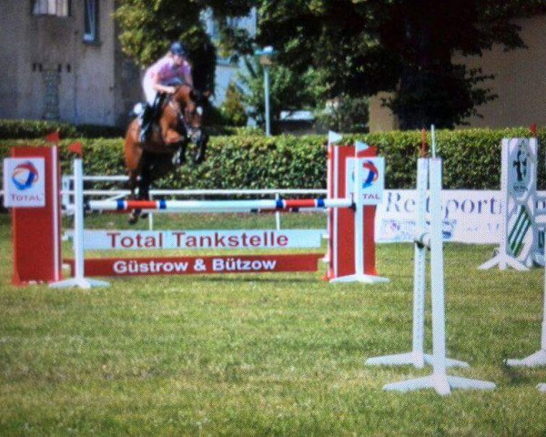 broodmare Chayenne K (Oldenburg, 2006, from Carinjo) broodmare Chayenne K (Oldenburg, 2006, from Carinjo)