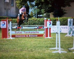 broodmare Chayenne K (Oldenburg, 2006, from Carinjo)