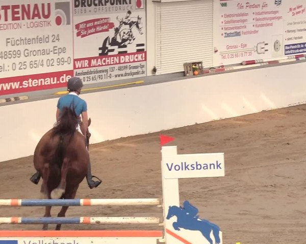 Reitturnier Gronau-Epe 2018