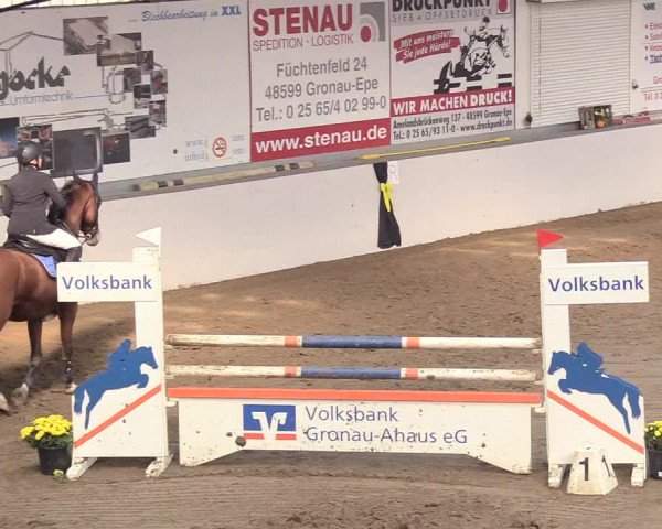 Reitturnier Gronau-Epe 2018