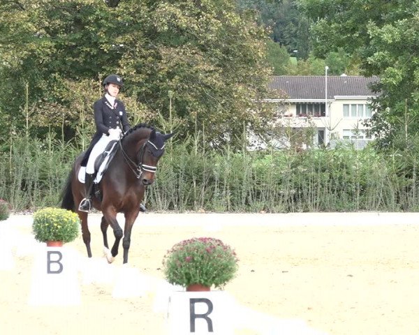 Reitturnier Deitingen 2018