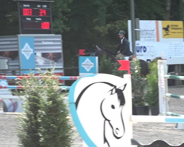 Reitturnier Sins 2018