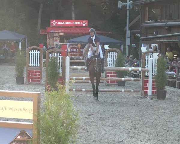Reitturnier Sins 2018