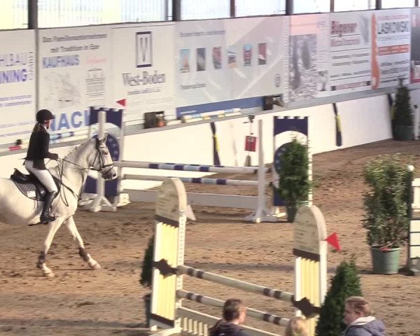 Reitturnier Gronau-Epe 2018