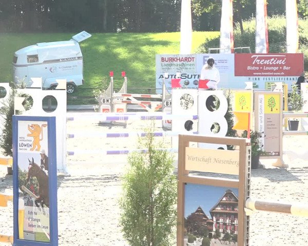 Reitturnier Sins 2018