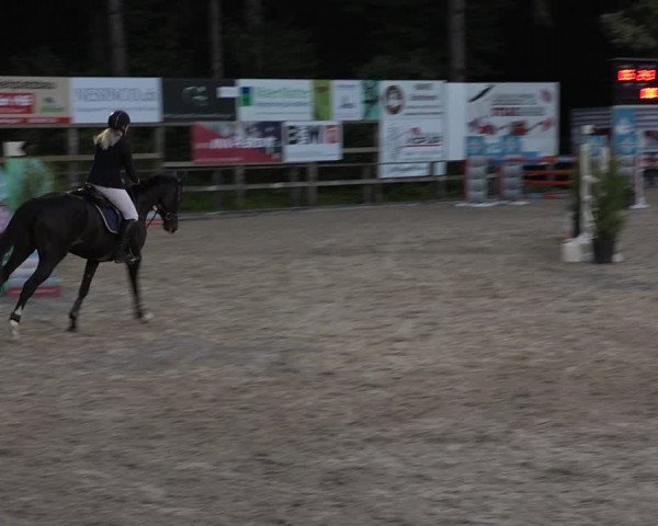 Reitturnier Sins 2018
